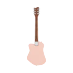 Epsilon Standard muted rose back catalog - Steelyjam aluminum guitar